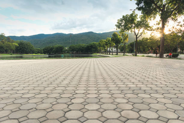 Best Driveway Pavers Near Me  in Carthage, TN